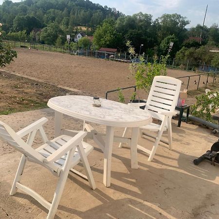 Ubytovani V Apartmanu, 2 Loznice, Na Farme Bzany エクステリア 写真